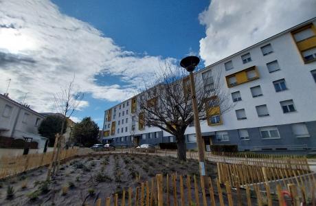 Annonce immobilière - location - Appartement - Reims - 51