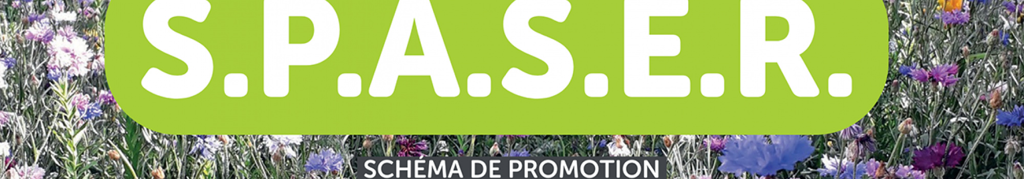 Notre politique d’achats durables